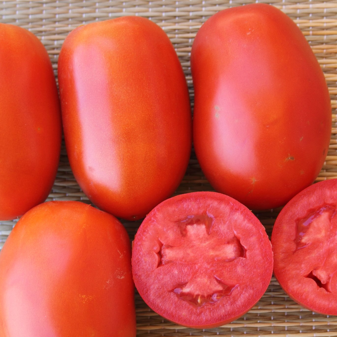 Jlaylati - Tomato Soren F1 